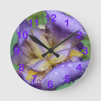 Reloj Redondo Mediano Iris morado (Iris Germanica)
