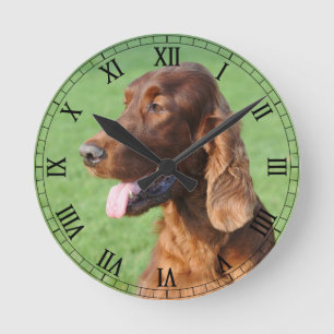 Reloj Redondo Mediano Irish Setter