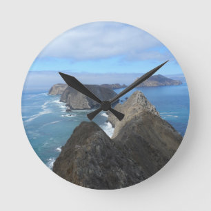 Reloj Redondo Mediano Isla Anacapa - Parque nacional Islas del Canal