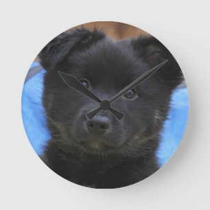 Reloj Redondo Mediano Islandhund - Icelandic Sheepdog