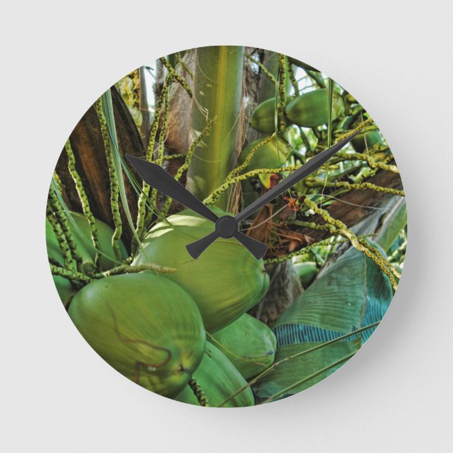 Reloj Redondo Mediano Islas Coconuts Palm Tree Caribe USVI (Anverso)