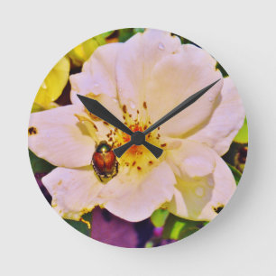 Reloj Redondo Mediano Japanese Beetle on White  Rose