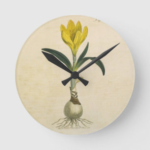 Reloj Redondo Mediano Jardín Botánico de Tulipanes Amaryllis Flor