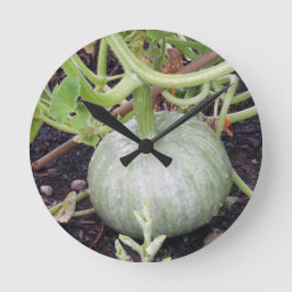 Reloj Redondo Mediano Jardín: Calabaza en crecimiento