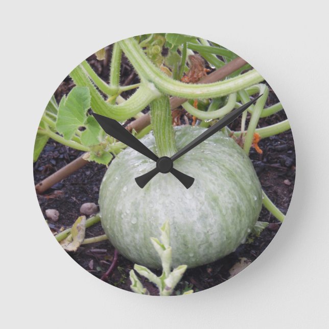 Reloj Redondo Mediano Jardín: Calabaza en crecimiento (Anverso)
