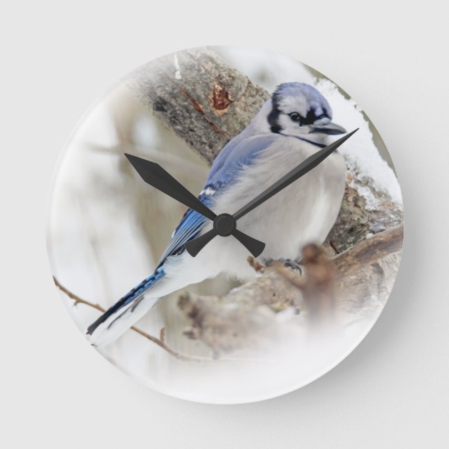 Reloj Redondo Mediano Jay azul en nieve de invierno (Anverso)