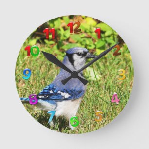 Reloj Redondo Mediano Jay Blue del Norte