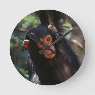 Reloj Redondo Mediano Joven chimpancé