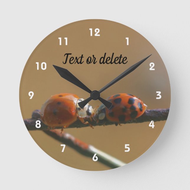 Reloj Redondo Mediano Kissing Ladybugs On A Wire Fence Personalized (Anverso)
