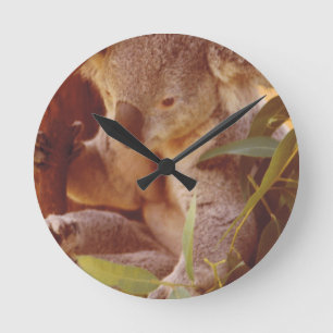 Reloj Redondo Mediano Koala Bear Love