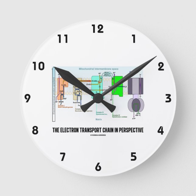 Reloj Redondo Mediano La cadena de transporte de electrones en perspecti (Anverso)