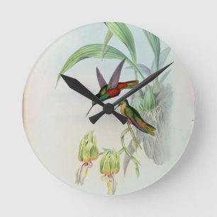 Reloj Redondo Mediano La estrella de Bonaparte afrontó el colibrí