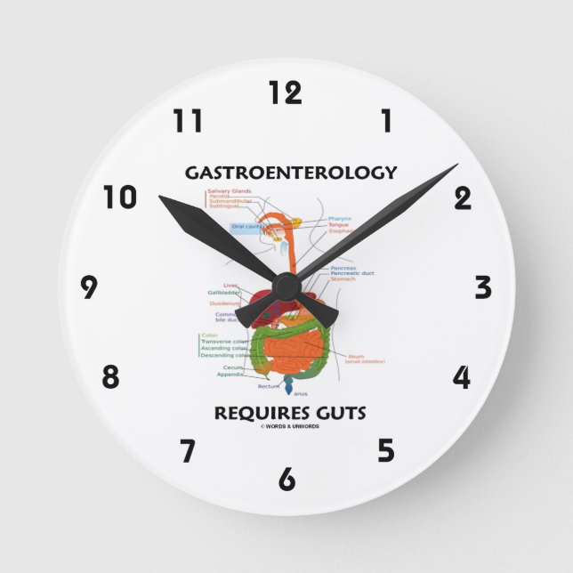 Reloj Redondo Mediano La Gastroenterología Requiere Gotas (Sistema Diges (Anverso)