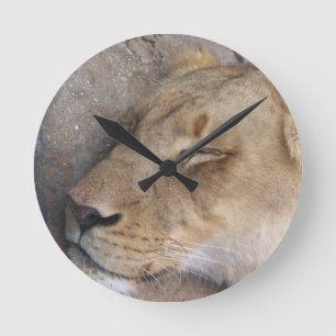 Reloj Redondo Mediano La leona durmiente