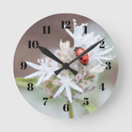 Reloj Redondo Mediano La mariquita en Silverleaf Phacelia florece el