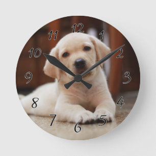 Reloj Redondo Mediano Labrador amarillo bebé Perro picado tendido sobre 