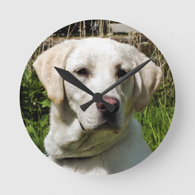 RELOJ REDONDO MEDIANO LABRADOR DOG (Anverso)