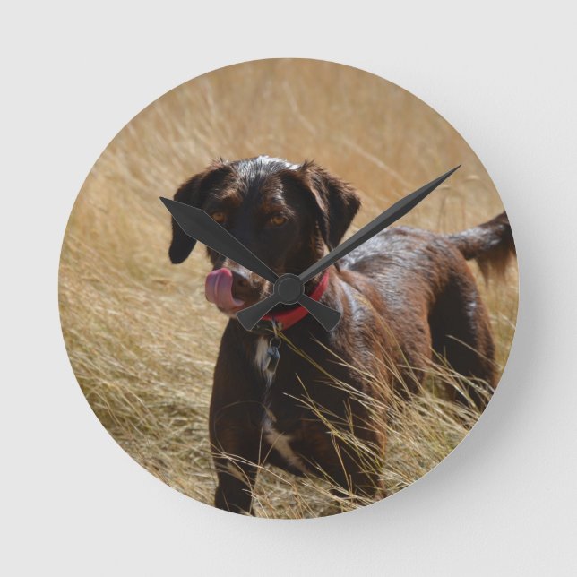Reloj Redondo Mediano Labrador Retriever marrón chocolate (Anverso)