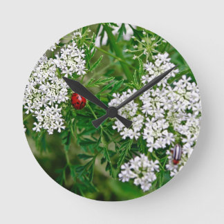 Reloj Redondo Mediano Ladybug