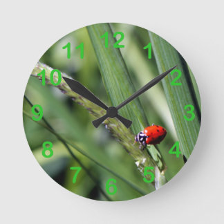 Reloj Redondo Mediano Ladybug (Coccinellidae)