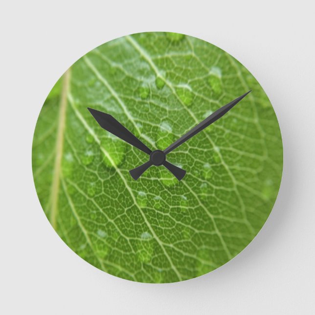 Reloj Redondo Mediano Leaf verde (Anverso)