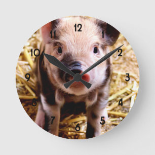 Reloj Redondo Mediano Lechón lindo