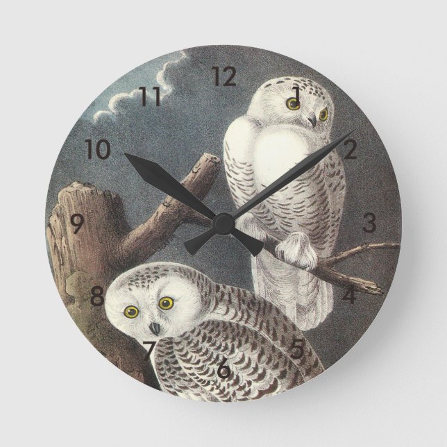 Reloj Redondo Mediano Lechuza de nieve por Audubon (Anverso)