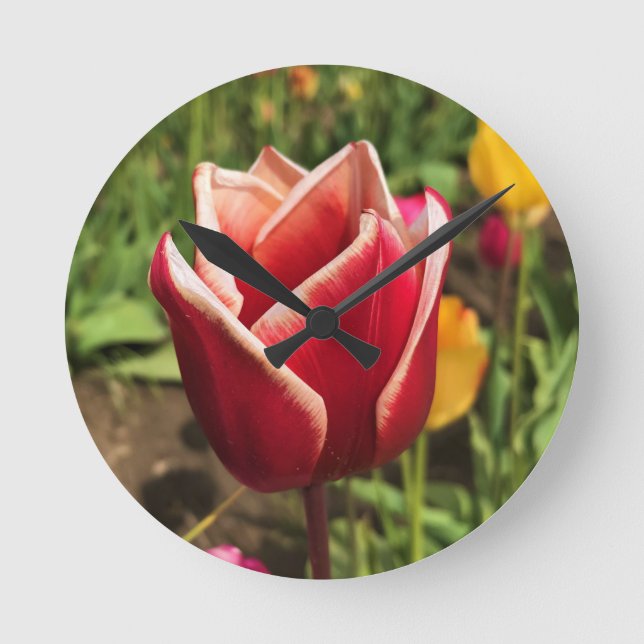 Reloj Redondo Mediano Leen Van Der Mark Tulip, Oregon (Anverso)