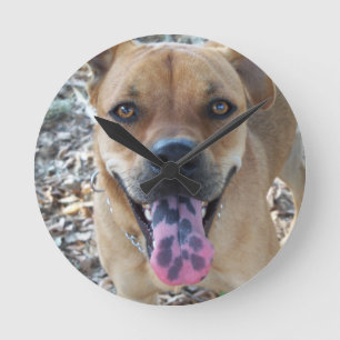 Reloj Redondo Mediano Lengua manchada de perro feliz
