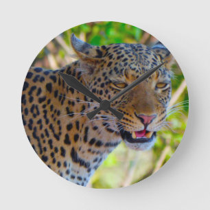 Reloj Redondo Mediano Leopardo manchado