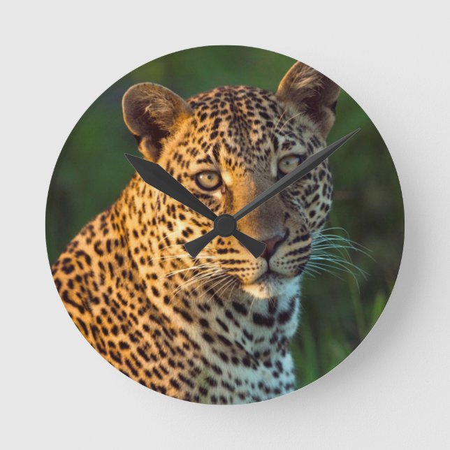 Reloj Redondo Mediano Leopardo masculino (Panthera Pardus) Cub maduro (Anverso)