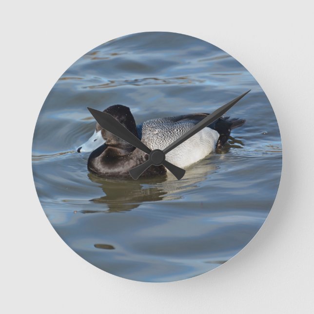 Reloj Redondo Mediano Lesser Scaup Duck (Anverso)