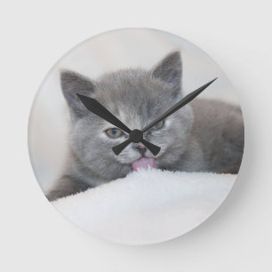 Reloj Redondo Mediano ¡Lindo gato gris con la lengua fuera!