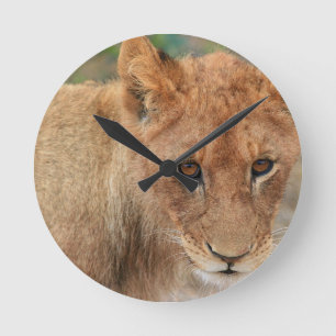 Reloj Redondo Mediano Lion Cub