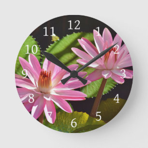 Reloj Redondo Mediano Lirio acuático rosado Lily Nymphaea