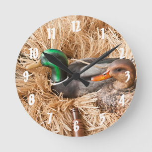 Reloj Redondo Mediano Llamada paquistaní Drake Mallard Cazando Cazadores