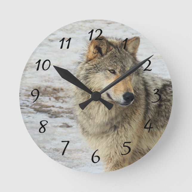 Reloj Redondo Mediano Lobo del invierno (Anverso)