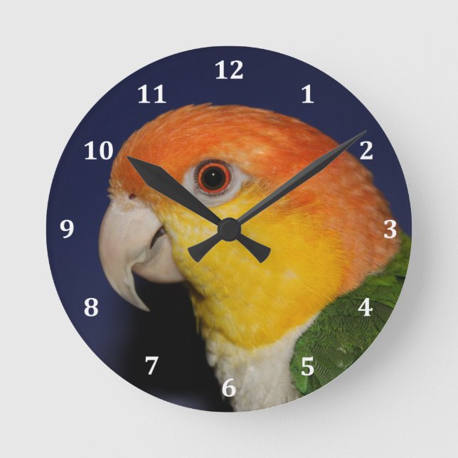 Reloj Redondo Mediano Loro colorido del caique (Anverso)