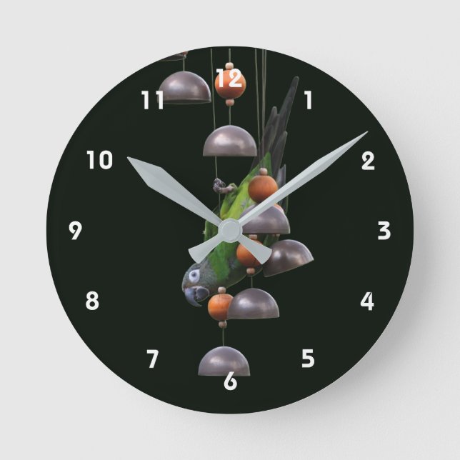 Reloj Redondo Mediano Loro Conure Cabeza Oscura Lindo (Anverso)