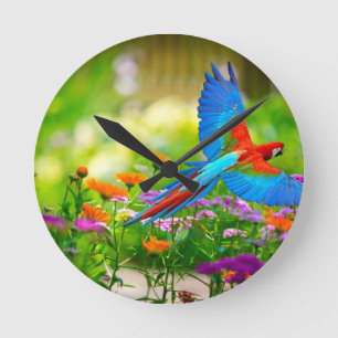 Reloj Redondo Mediano Loro del Macaw