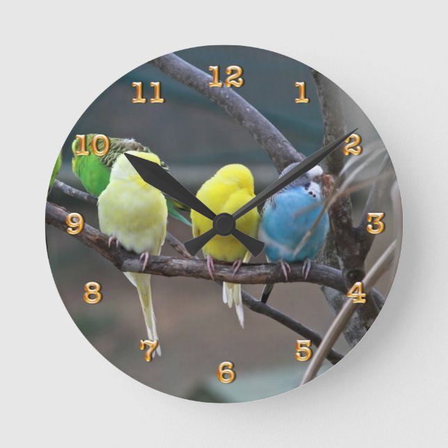 Reloj Redondo Mediano Los Parakeets Budgies repiten mecánicamente la (Anverso)