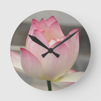 Reloj Redondo Mediano Lotus rosado