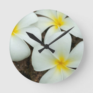 Reloj Redondo Mediano Lovely Tropical Blossoms In The South Pacific