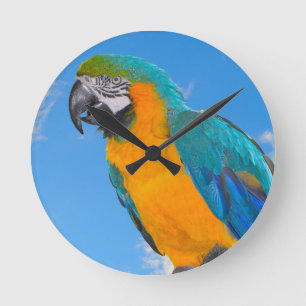 Reloj Redondo Mediano Macao azul y amarillo