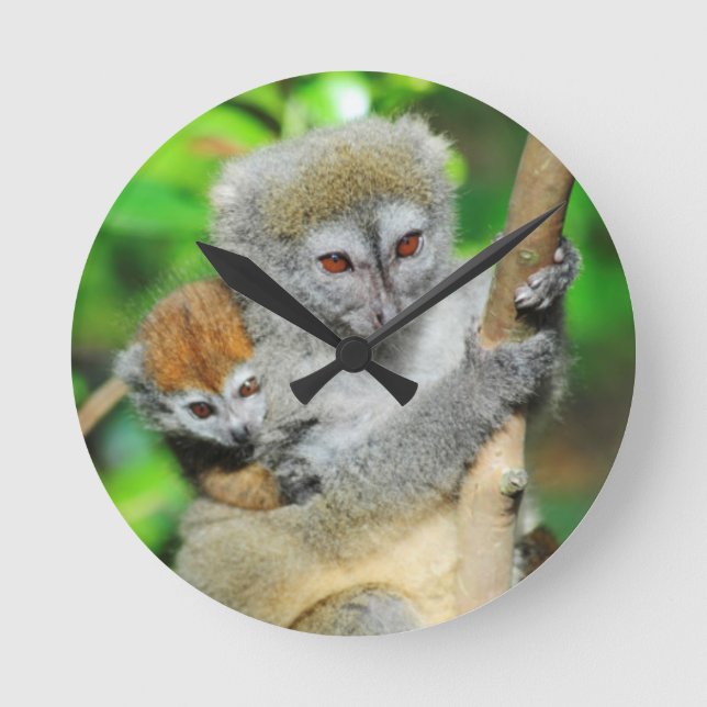 Reloj Redondo Mediano Madagascar, Andasibe, Ile Lemuriens aux., madre (Anverso)