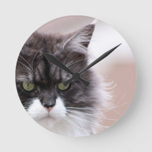 Reloj Redondo Mediano Maine Coon Cat