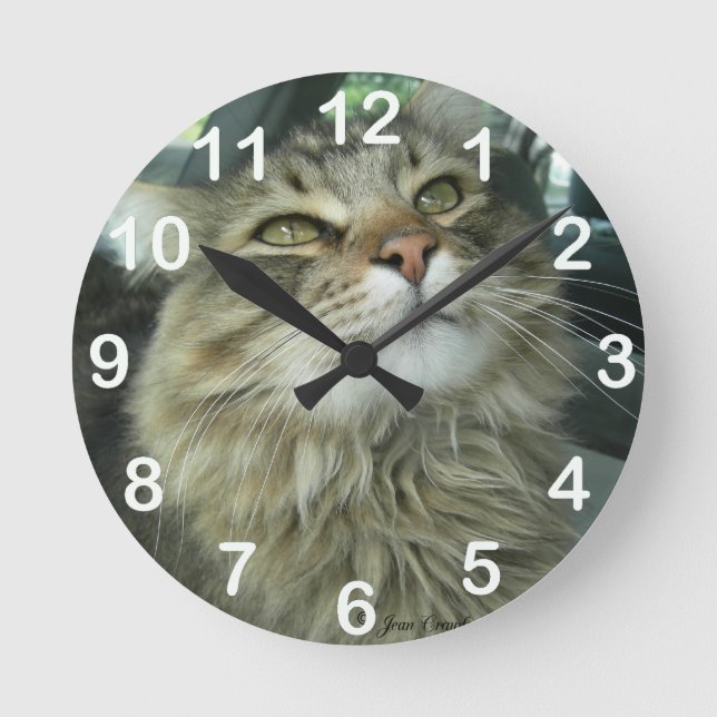 Reloj Redondo Mediano Maine Coon kitty (Anverso)