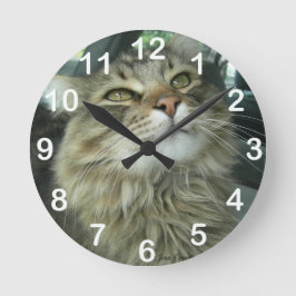 Reloj Redondo Mediano Maine Coon kitty