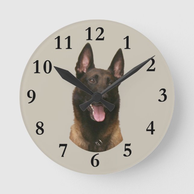 Reloj Redondo Mediano malinois belga (Anverso)