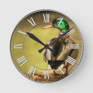 Reloj Redondo Mediano Mallard Duck